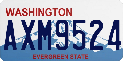 WA license plate AXM9524