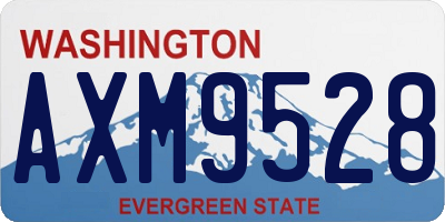 WA license plate AXM9528