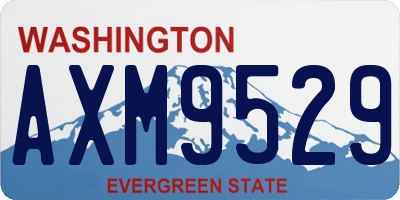 WA license plate AXM9529