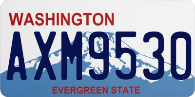 WA license plate AXM9530