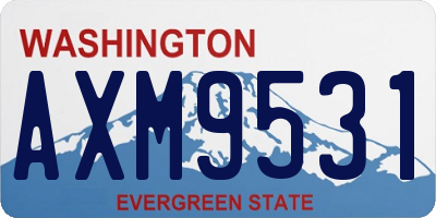 WA license plate AXM9531