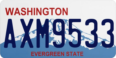 WA license plate AXM9533