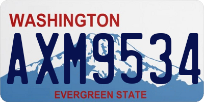 WA license plate AXM9534