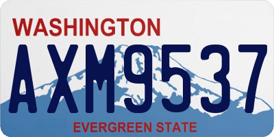 WA license plate AXM9537