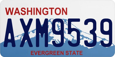 WA license plate AXM9539