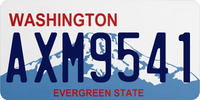 WA license plate AXM9541