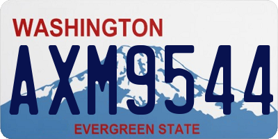 WA license plate AXM9544