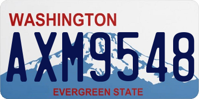 WA license plate AXM9548