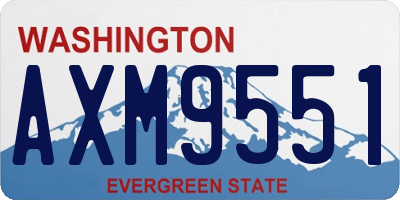 WA license plate AXM9551