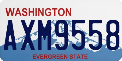 WA license plate AXM9558