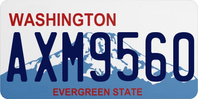 WA license plate AXM9560