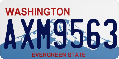 WA license plate AXM9563