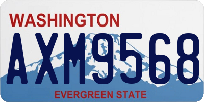 WA license plate AXM9568