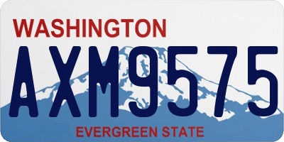 WA license plate AXM9575