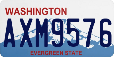 WA license plate AXM9576