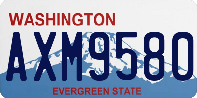 WA license plate AXM9580