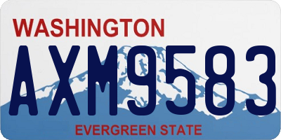 WA license plate AXM9583