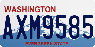 WA license plate AXM9585