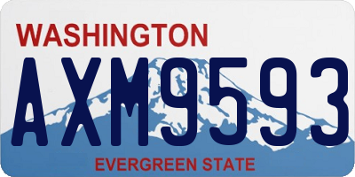 WA license plate AXM9593