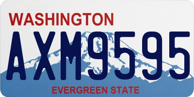 WA license plate AXM9595