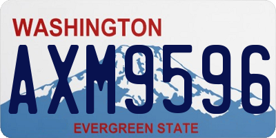 WA license plate AXM9596