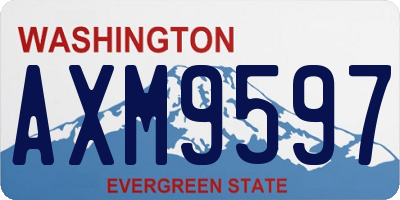 WA license plate AXM9597