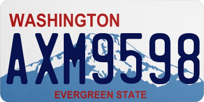 WA license plate AXM9598