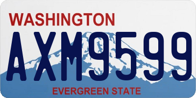 WA license plate AXM9599
