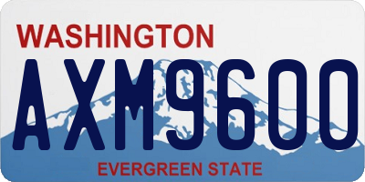 WA license plate AXM9600