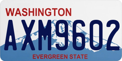 WA license plate AXM9602