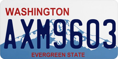 WA license plate AXM9603