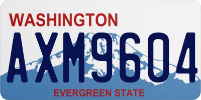 WA license plate AXM9604
