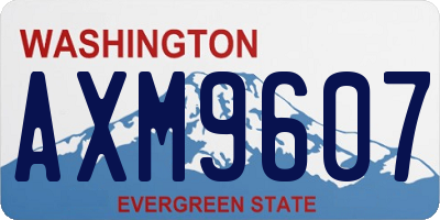 WA license plate AXM9607