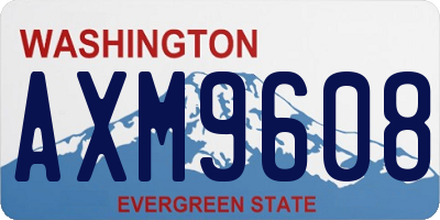 WA license plate AXM9608