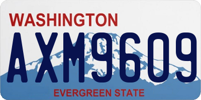 WA license plate AXM9609