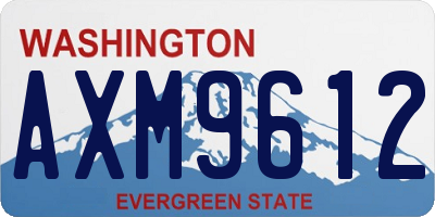 WA license plate AXM9612