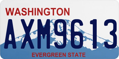 WA license plate AXM9613