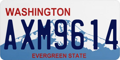 WA license plate AXM9614