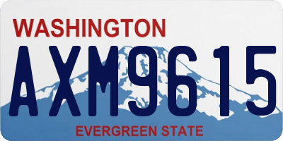WA license plate AXM9615