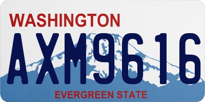 WA license plate AXM9616