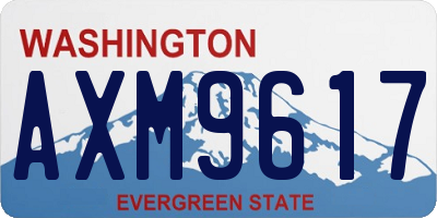 WA license plate AXM9617