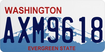 WA license plate AXM9618