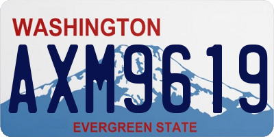 WA license plate AXM9619