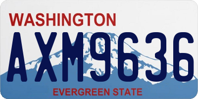 WA license plate AXM9636