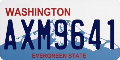 WA license plate AXM9641