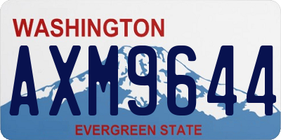 WA license plate AXM9644