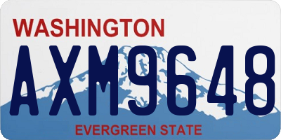 WA license plate AXM9648