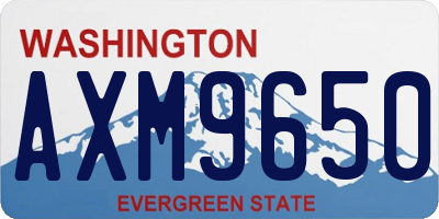 WA license plate AXM9650