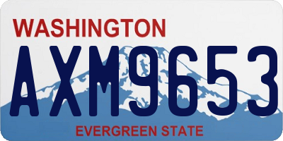 WA license plate AXM9653