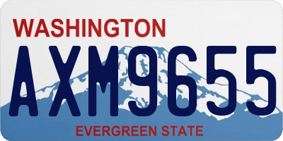 WA license plate AXM9655
